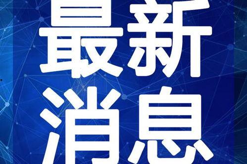 影帝小胖爆料视频大全最新,揭秘娱乐圈幕后真相