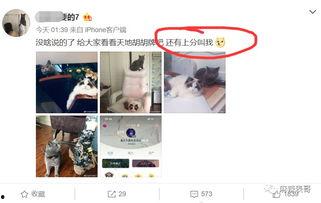 免费吃瓜网红出轨,免费吃瓜网红出轨风波揭秘