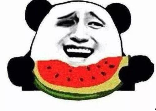 求抱抱吃瓜视频下载免费,免费畅享“求抱抱吃瓜”视频盛宴 第2张 求抱抱吃瓜视频下载免费,免费畅享“求抱抱吃瓜”视频盛宴 第2张