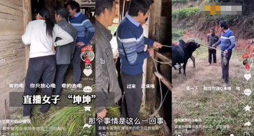 村民爆料牛爱芳视频,牛爱芳视频引发热议，真相究竟如何？
