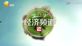 辽宁都视直播在线观看,实时观看，尽享精彩瞬间