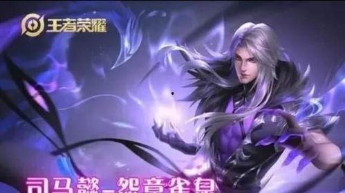司马皮肤爆料视频最新,揭秘神秘角色背后的故事与设计理念  第3张