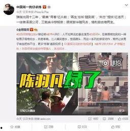 网友爆料张凌赫事件视频,网友热议真相与争议  第2张
