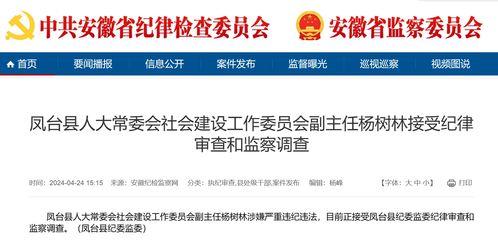 大皖新闻爆料最新消息,重大事件引发社会关注  第1张