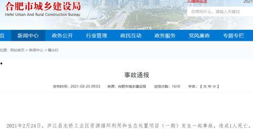 大皖新闻爆料最新消息,重大事件引发社会关注  第2张