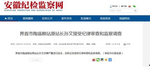 大皖新闻爆料最新消息,重大事件引发社会关注  第3张