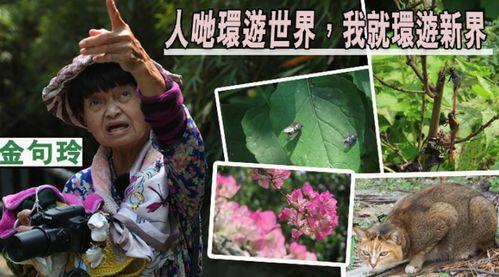 猪刚鬣大姐爆料视频在线观看,揭秘娱乐圈不为人知的一面  第3张