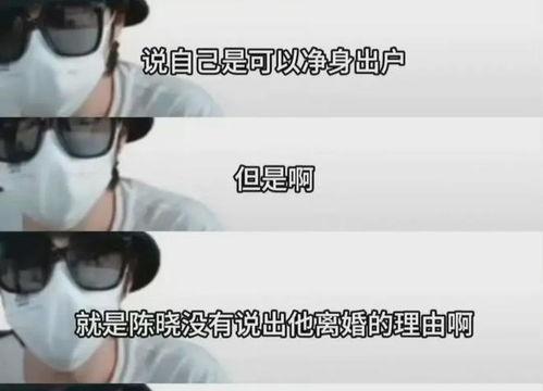 狗仔爆料陈妍希视频大全,狗仔爆料背后的真相揭秘  第3张