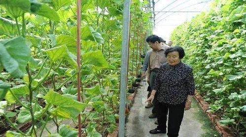 吃瓜大全网站免费观看,免费畅享热门资讯,轻松解锁精彩内容 第2张 吃瓜大全网站免费观看,免费畅享热门资讯,轻松解锁精彩内容 第2张