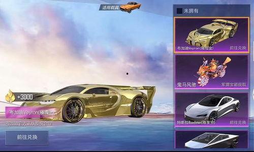 国际服车皮最新爆料,揭秘神秘新车型与性能升级