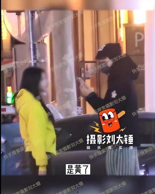 刘大锤最新爆料家暴视频,最新家暴视频曝光，真相令人震惊！
