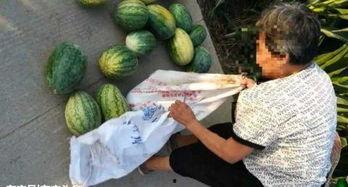 夏邑吃瓜最新事件爆料,揭秘背后惊人真相,网络热议持续升温 第2张 夏邑吃瓜最新事件爆料,揭秘背后惊人真相,网络热议持续升温 第2张