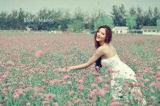 薰衣草 在线观看,在线观看之旅  第3张 薰衣草 在线观看,在线观看之旅  第3张