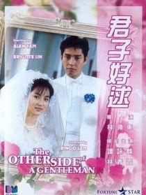 君子好逑4在线观看,浪漫邂逅,情缘再续