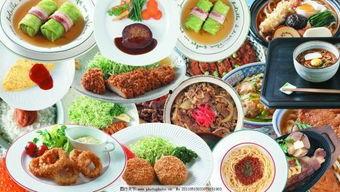 榆林今日爆料美食视频下载,今日爆料视频带你一网打尽地道风味