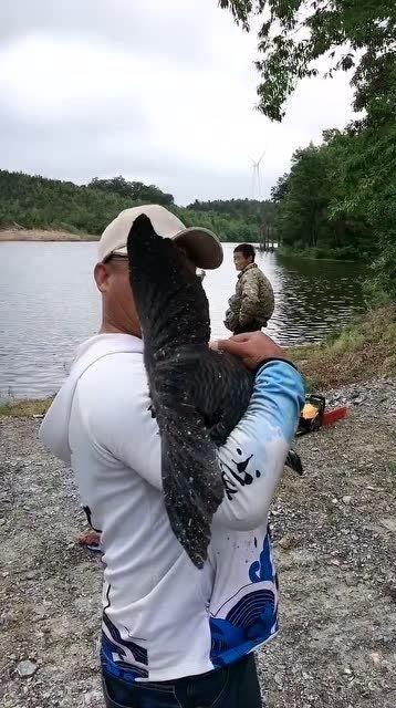 大杨哥被爆料钓鱼视频是真的吗,真相究竟如何?