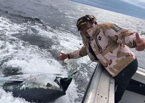 大杨哥被爆料钓鱼视频是真的吗,真相究竟如何?  第2张 大杨哥被爆料钓鱼视频是真的吗,真相究竟如何?  第2张