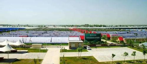 西安阎良最新爆料,揭秘西安阎良发展新动向  第3张 西安阎良最新爆料,揭秘西安阎良发展新动向  第3张