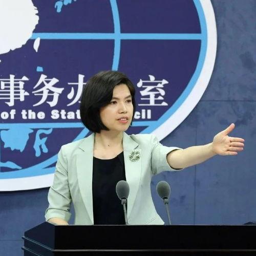 金善禹讲话爆料视频,揭秘背后惊人内幕