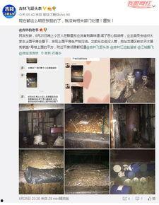 吉林市民爆料最新信息网,最新信息网揭示城市动态  第3张 吉林市民爆料最新信息网,最新信息网揭示城市动态  第3张