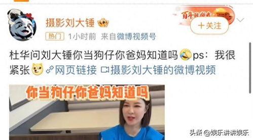 刘大锤爆料视频最新一期,揭秘一期视频背后的惊人真相  第3张 刘大锤爆料视频最新一期,揭秘一期视频背后的惊人真相  第3张