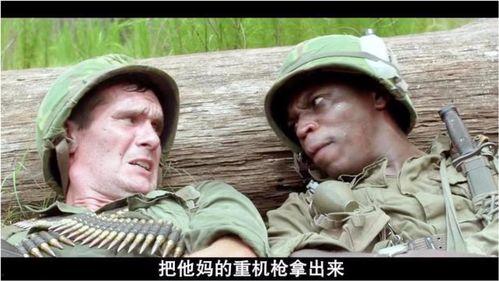 越战先锋在线观看,在线重温那段硝烟岁月  第3张 越战先锋在线观看,在线重温那段硝烟岁月  第3张