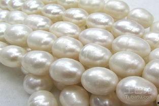 淡水珍珠爆料怎么做视频,揭秘视频制作全攻略