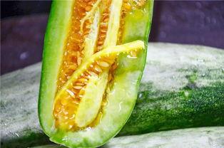 吃瓜最近网红圈,吃瓜群众热议最新热点事件  第2张