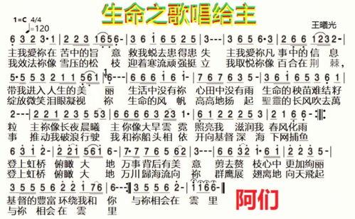 生命之歌在线观看,在线观看，感受生命旋律的震撼之旅