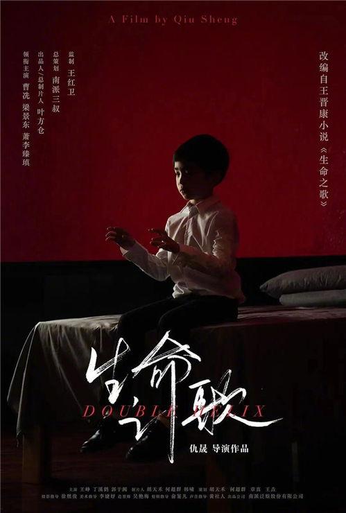 生命之歌在线观看,在线观看，感受生命旋律的震撼之旅  第2张