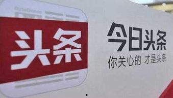 今日头条静雅爆料,今日头条最新动态揭秘  第3张