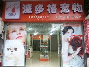 泉州黑心宠物店爆料视频