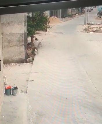 今日揭西爆料视频播放,揭秘当地热点事件