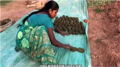 粪礼在线观看,揭秘网络直播的另类魅力 第2张 粪礼在线观看,揭秘网络直播的另类魅力 第2张